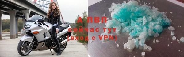 ГАЛЛЮЦИНОГЕННЫЕ ГРИБЫ Белоозёрский