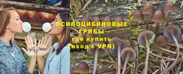 таблы Богородицк