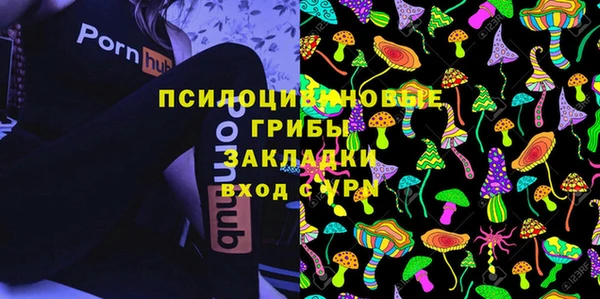 таблы Богородицк