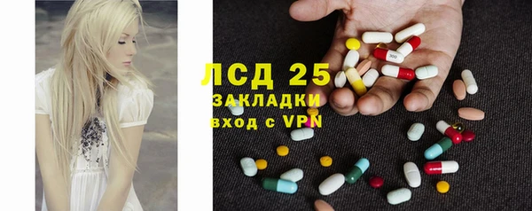 таблы Богородицк